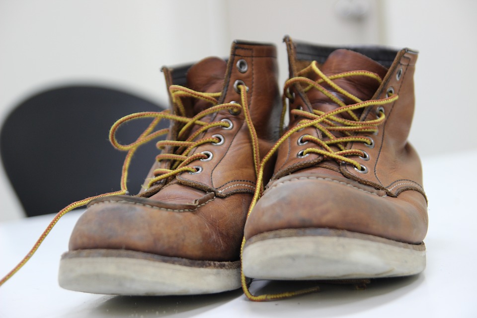 sorel out n about plus sneaker sage