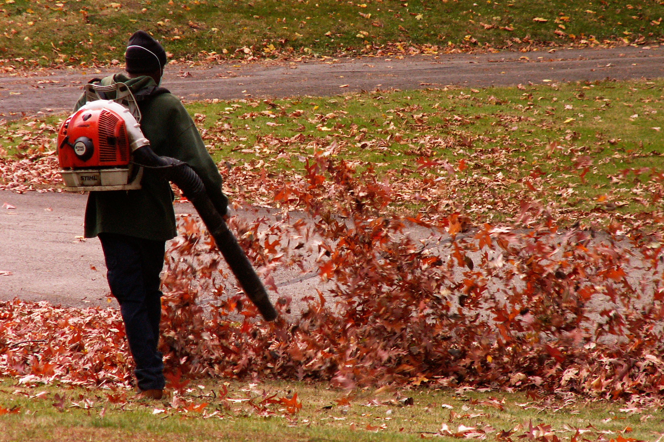 leaf blower