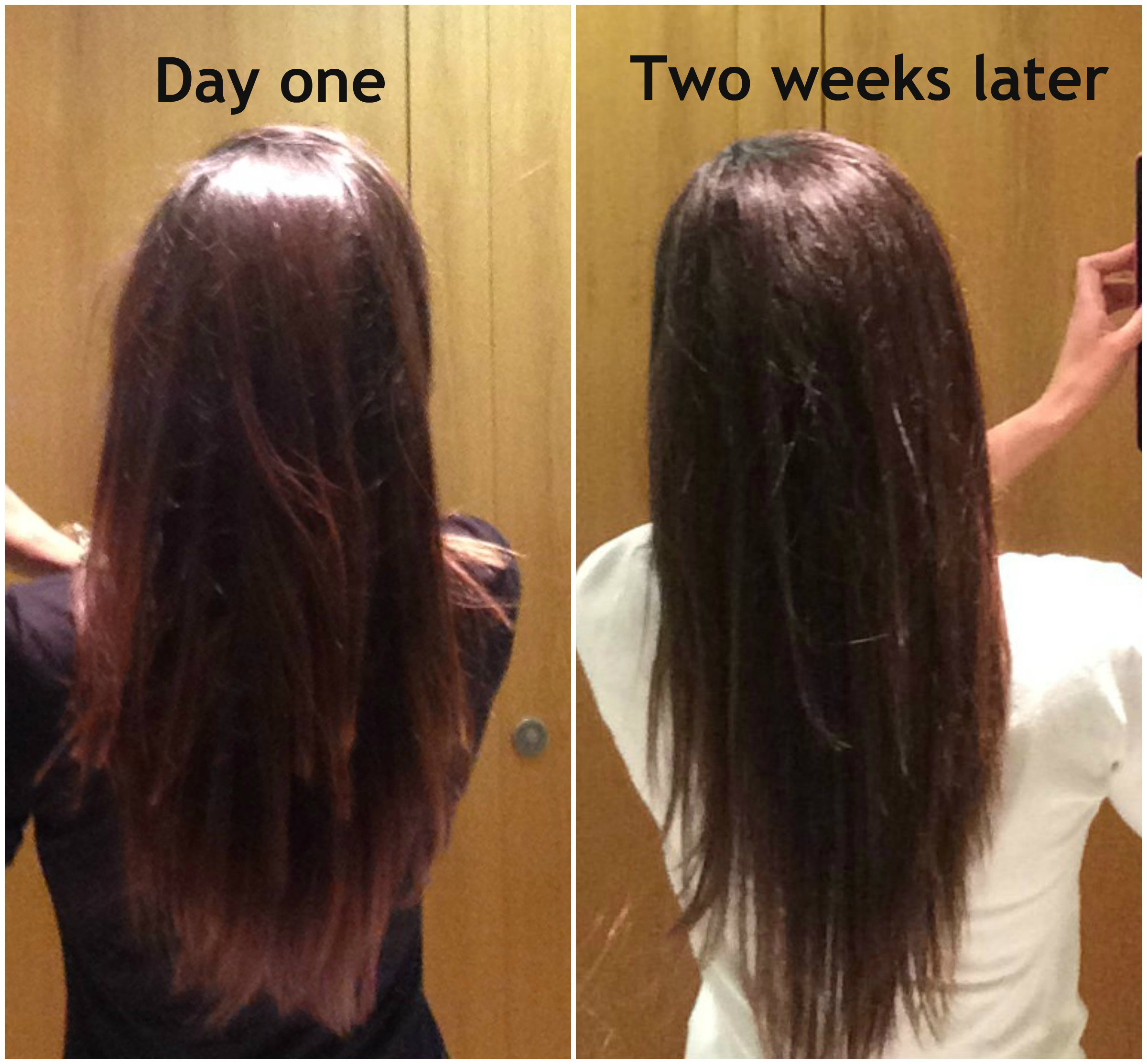 Fortuna Melhem - Founder - It Really Works Vitamins