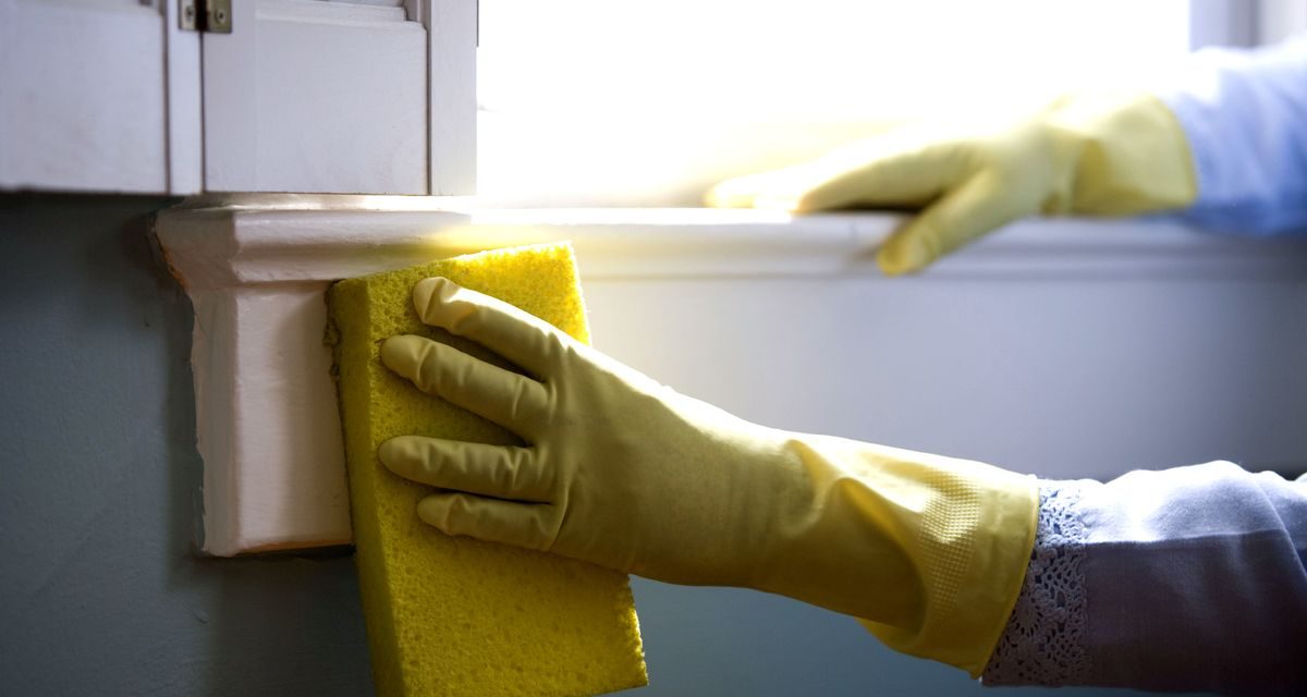 10 Tips to Choose the Right Cleaning Company
