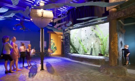The History of Building Custom Aquariums