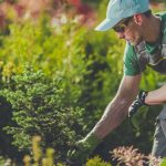 Why Gardening Is A Great Hobby For People In Stress