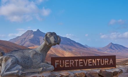 Our 10 Tips to Find the Cheapest Car Rentals in Fuerteventura