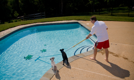 What Are The Exceptional Features Of The Best Above Ground Pool Vacuum?