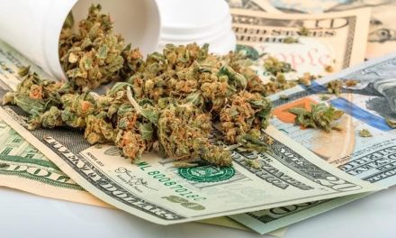 Marijuana stock 101: Here is how to successfully invest in marijuana stock