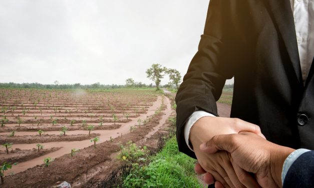 Simple Steps on How You Can Acquire Land in Kenya