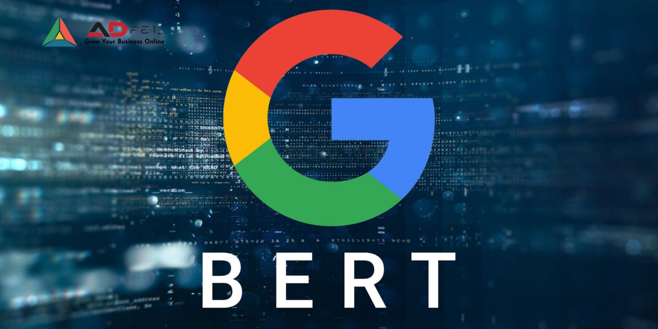ADfel SEO news for November 2019: BERT Update and other SEO news