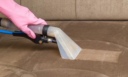 Hiring Professional Cleaners – The Pros and Cons 