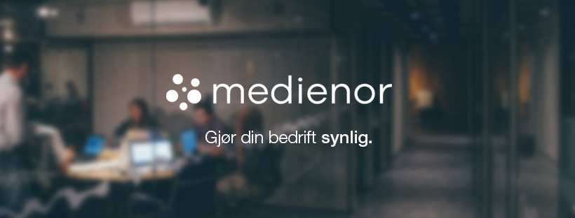 Review of Medienor – SEO Company in Norway