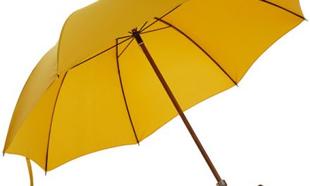 Greet the Showers in Style with the Best Umbrellas