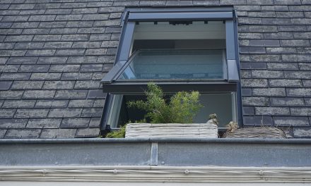 5 Things to Know Before Hiring a Skylight Installation Company