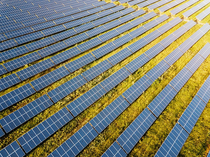 Renewable Energy Startups – What You Need To Know