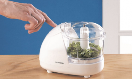 Buy food chopper in Malaysia from an online store