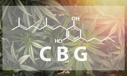 Everything You Need to Know About CBG Oil