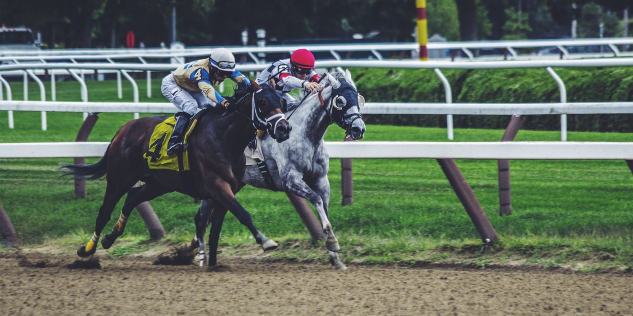 The Best Horse Betting Sites