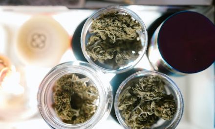 Starting Your Own Dispensary – Our Guide