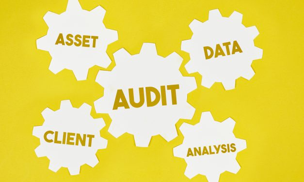 The Ins and Outs of SEO Audits