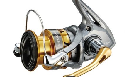 Top 3 spinning reels for under $100 for beginner anglers  