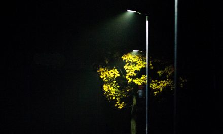 Common problems of led street light