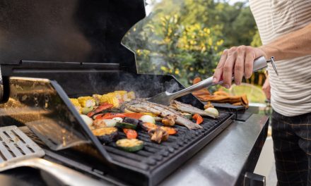 What Type of BBQ Should You Get?