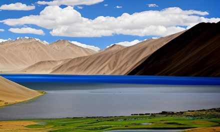 Visiting Ladakh ? Check Out Our Top Picks !