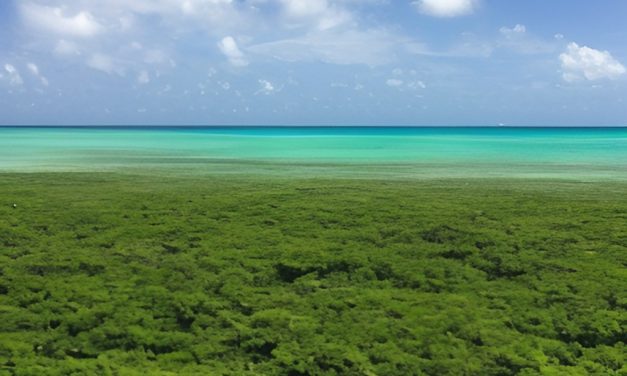 The Top 10 Reasons to Visit Belize